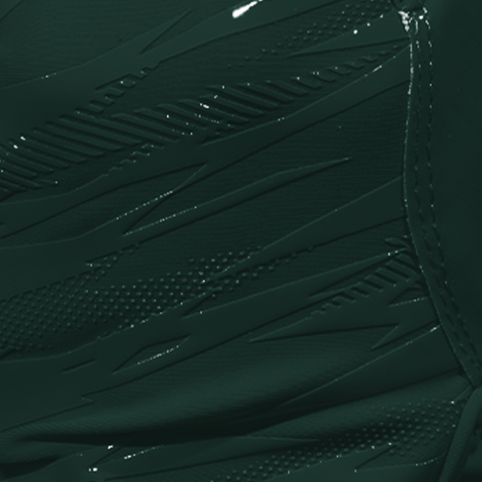 Phenom Elite Dark Green Football Gloves - VPS4 - Pro Label Edition